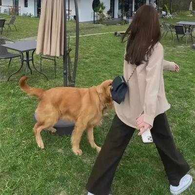 求爱警报